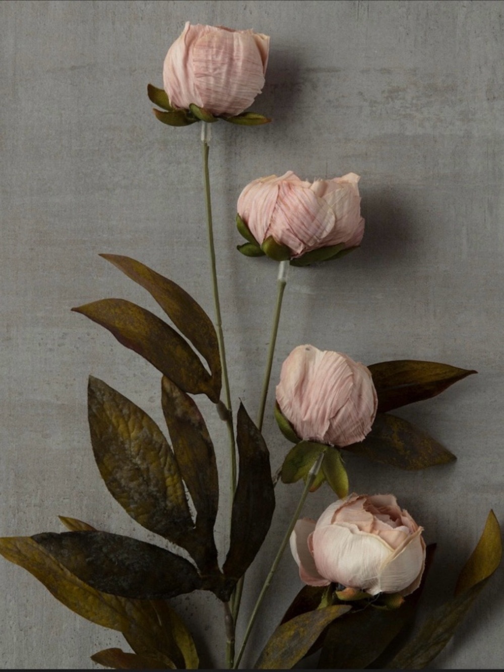 Set of 8 Ashland Viral Tan Peony Stem with Green Foliage